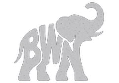 Black With No Chaser Institute: an elephant formed from the letters B W N